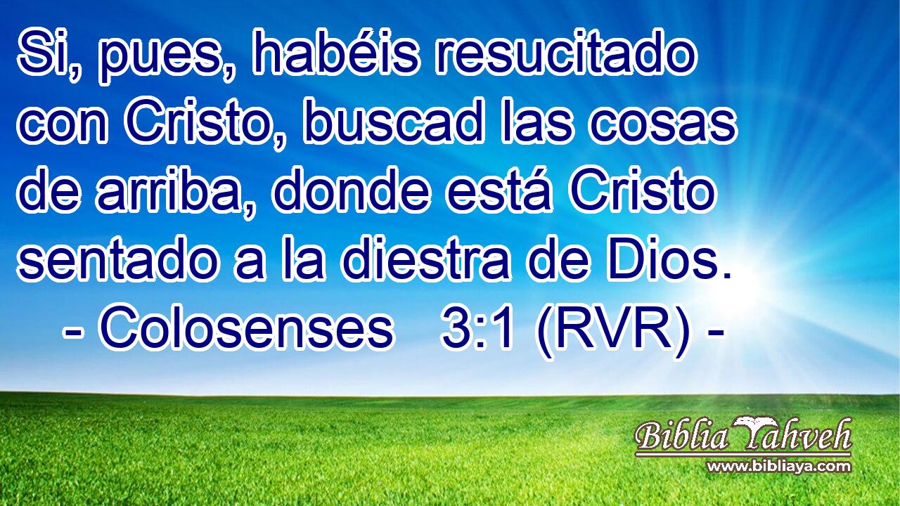 Si, pues, habéis resucitado con Cristo, buscad las cosas de arriba, donde está Cristo sentado a la diestra de Dios.