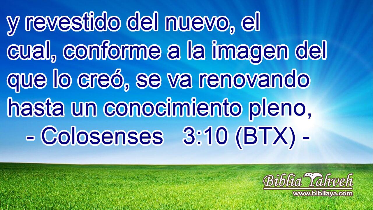 y revestido del nuevo, el cual, conforme a la imagen del que lo creó, se va renovando hasta un conocimiento pleno,
