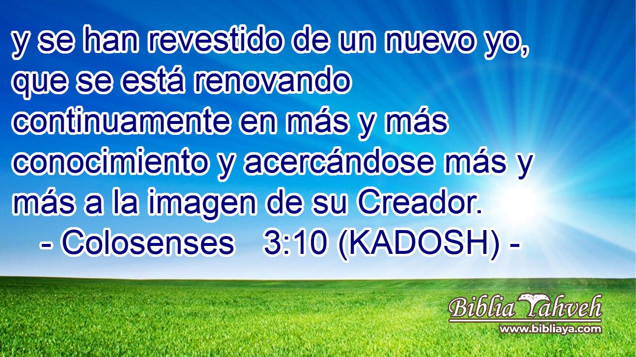  y se han revestido de un nuevo yo, que se está renovando continuamente en más y más conocimiento y acercándose más y más a la imagen de su Creador. 