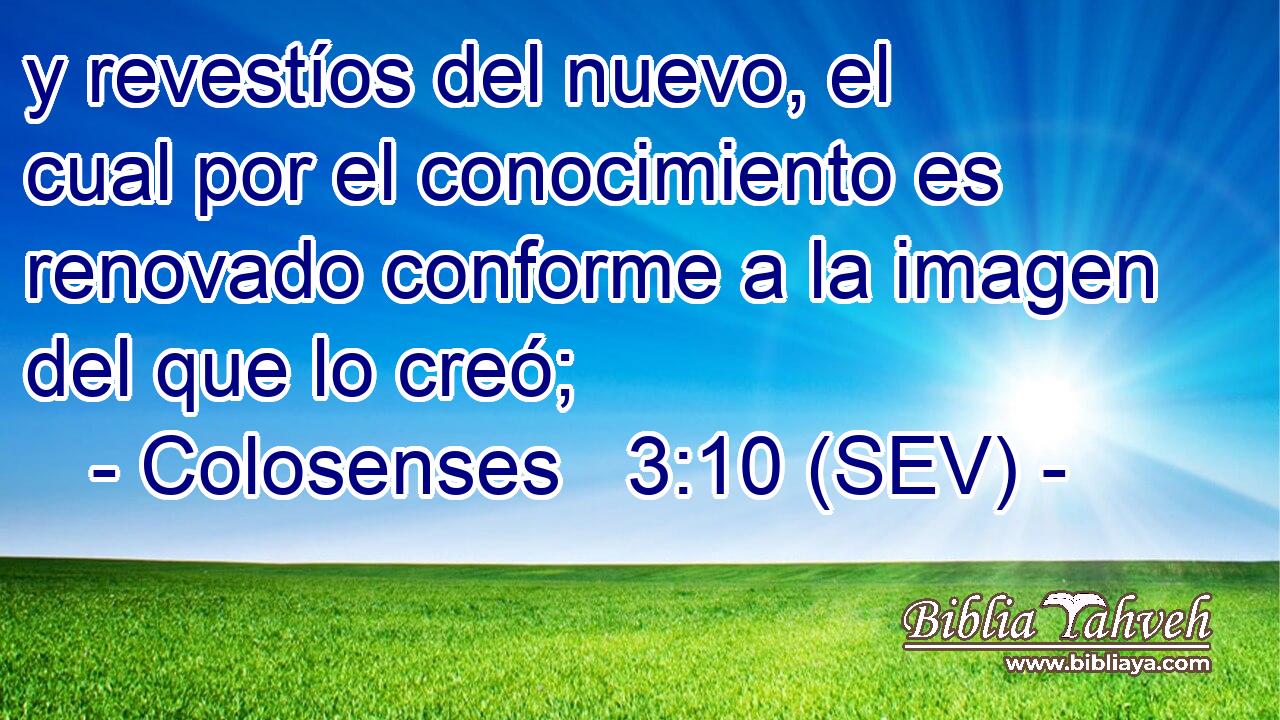 y revestíos del nuevo, el cual por el conocimiento es renovado conforme a la imagen del que lo creó;