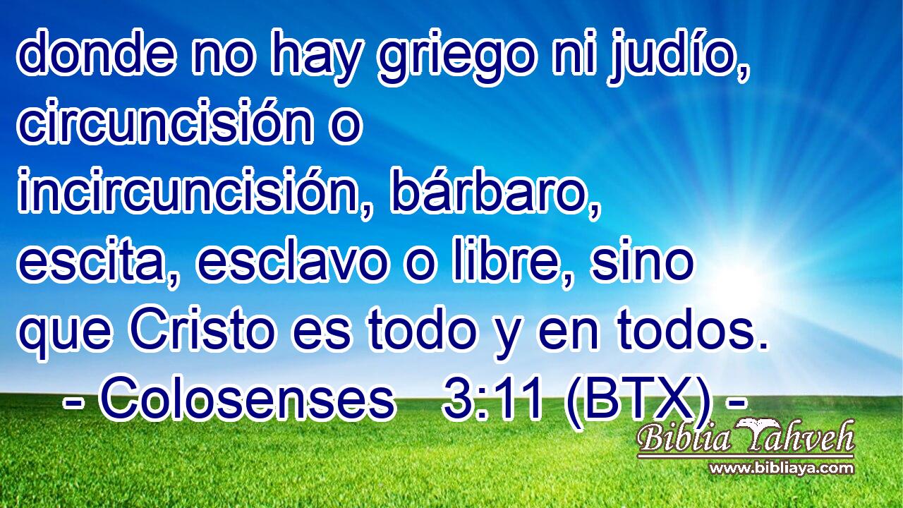 donde no hay griego ni judío, circuncisión o incircuncisión, bárbaro, escita, esclavo o libre, sino que Cristo es todo y en todos.