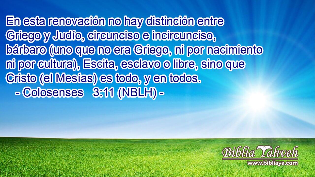  En esta renovación no hay distinción entre Griego y Judío, circunciso e incircunciso, bárbaro (uno que no era Griego, ni por nacimiento ni por cultura), Escita, esclavo o libre, sino que Cristo (el Mesías) es todo, y en todos. 