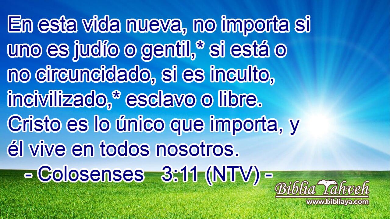 En esta vida nueva, no importa si uno es judío o gentil,* si está o no circuncidado, si es inculto, incivilizado,* esclavo o libre. Cristo es lo único que importa, y él vive en todos nosotros.
