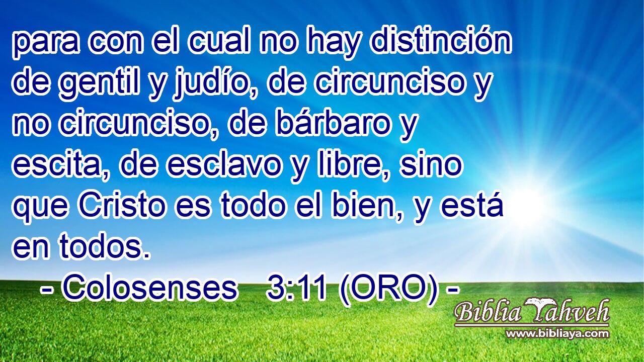  para con el cual no hay distinción de gentil y judío, de circunciso y no circunciso, de bárbaro y escita, de esclavo y libre, sino que Cristo es todo el bien, y está en todos. 