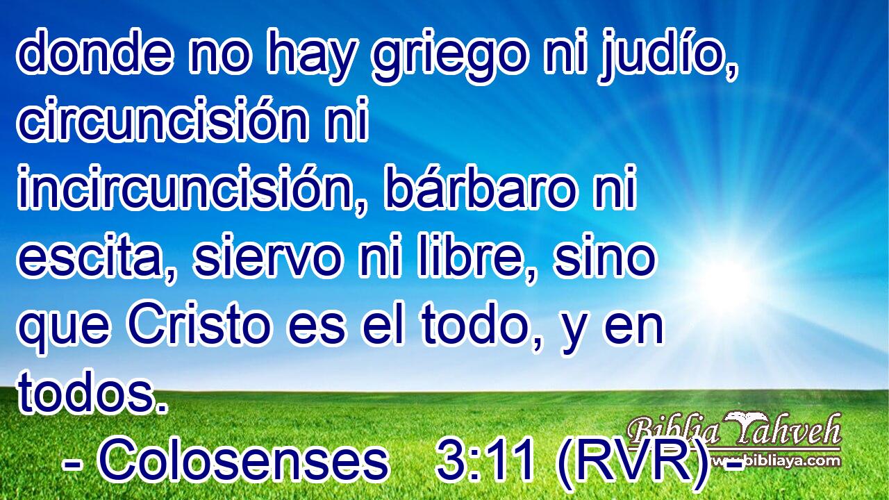donde no hay griego ni judío, circuncisión ni incircuncisión, bárbaro ni escita, siervo ni libre, sino que Cristo es el todo, y en todos.