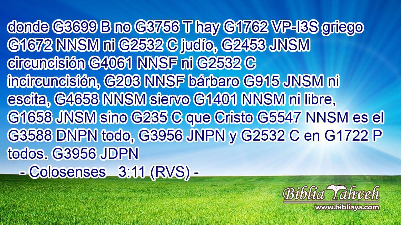 donde G3699 B no G3756 T hay G1762 VP-I3S griego G1672 NNSM ni G2532 C judío, G2453 JNSM circuncisión G4061 NNSF ni G2532 C incircuncisión, G203 NNSF bárbaro G915 JNSM ni escita, G4658 NNSM siervo G1401 NNSM ni libre, G1658 JNSM sino G235 C que Cristo G5547 NNSM es el G3588 DNPN todo, G3956 JNPN y G2532 C en G1722 P todos. G3956 JDPN 