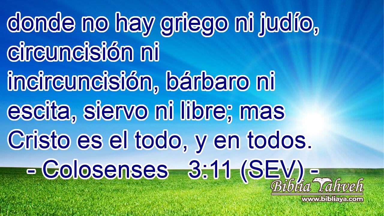 donde no hay griego ni judío, circuncisión ni incircuncisión, bárbaro ni escita, siervo ni libre; mas Cristo es el todo, y en todos.