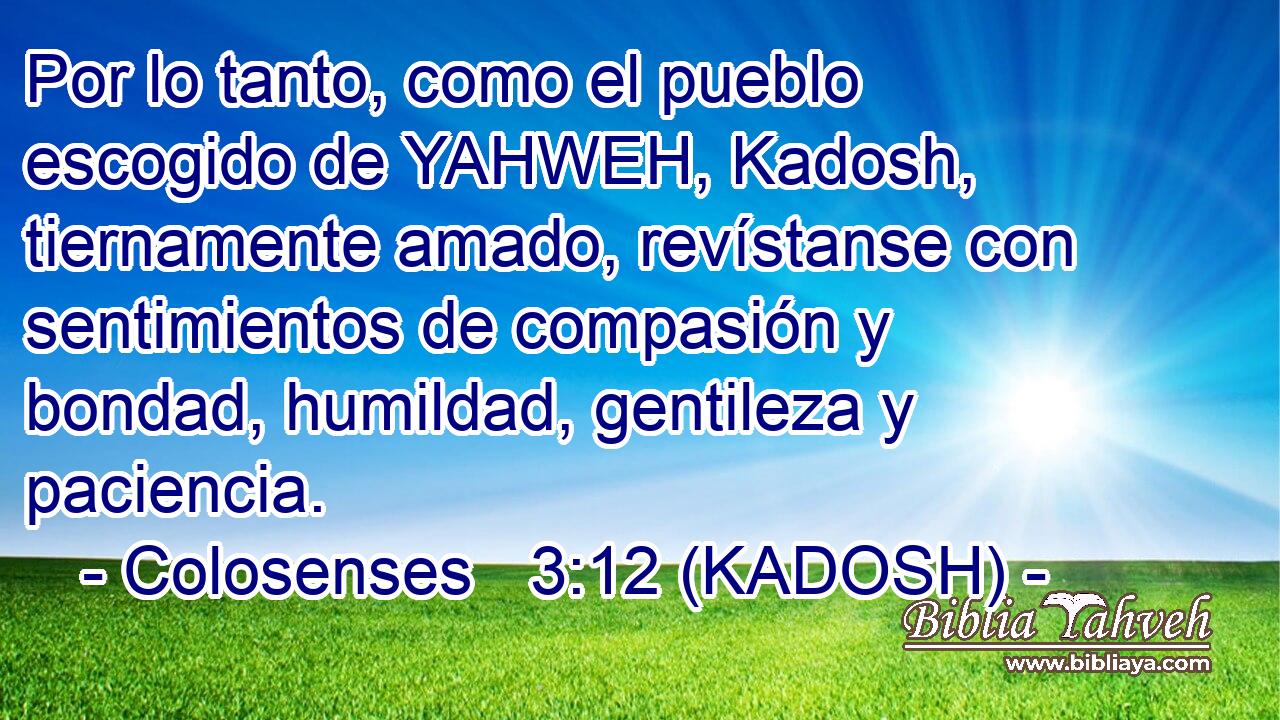  Por lo tanto, como el pueblo escogido de YAHWEH, Kadosh, tiernamente amado, revístanse con sentimientos de compasión y bondad, humildad, gentileza y paciencia. 