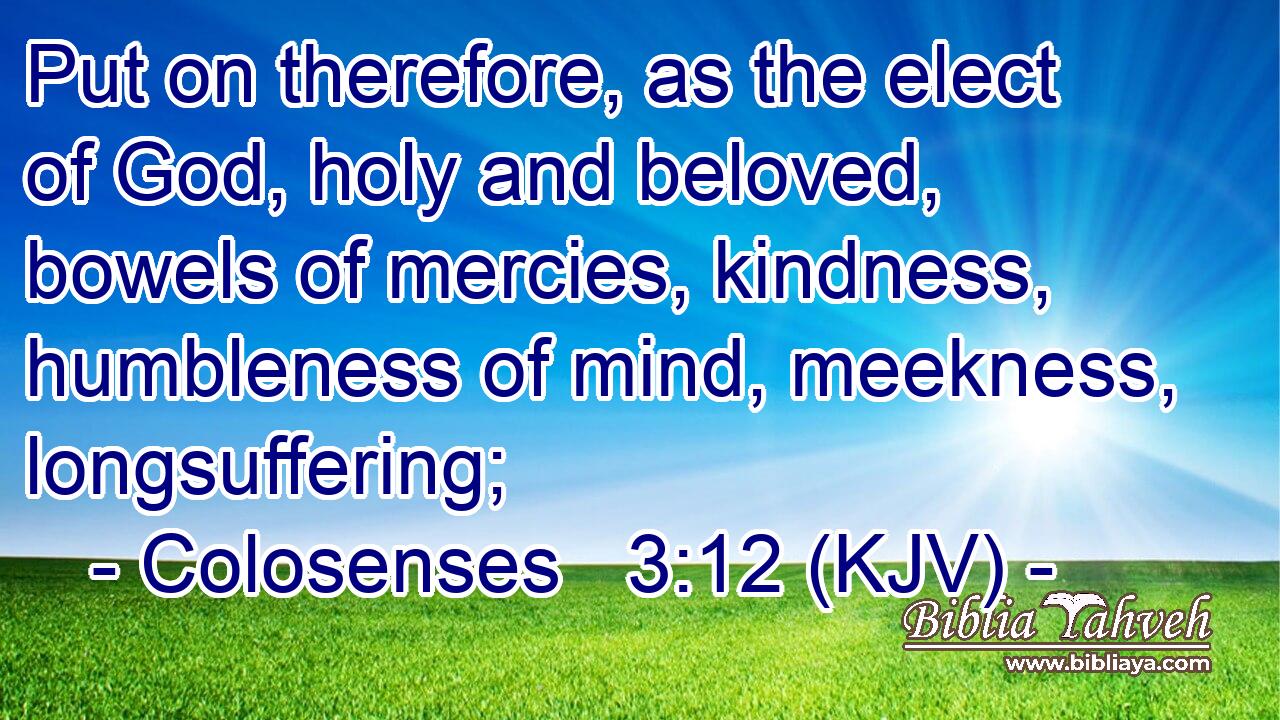 Put on therefore, as the elect of God, holy and beloved, bowels of mercies, kindness, humbleness of mind, meekness, longsuffering;