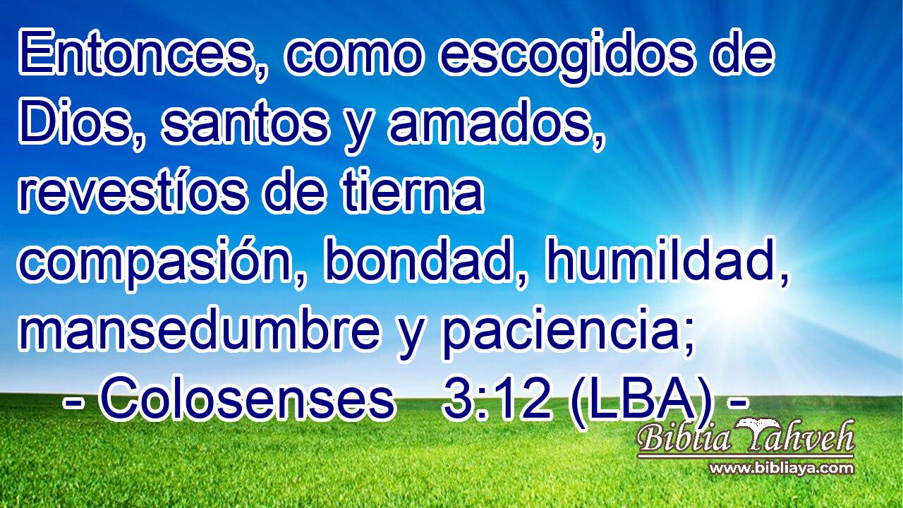 Entonces, como escogidos de Dios, santos y amados, revestíos de tierna compasión, bondad, humildad, mansedumbre y paciencia;
