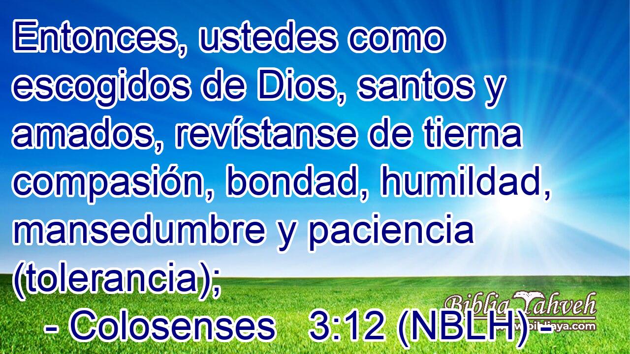  Entonces, ustedes como escogidos de Dios, santos y amados, revístanse de tierna compasión, bondad, humildad, mansedumbre y paciencia (tolerancia); 