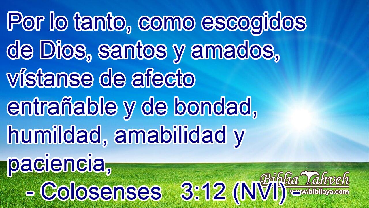  Por lo tanto, como escogidos de Dios, santos y amados, vístanse de afecto entrañable y de bondad, humildad, amabilidad y paciencia, 