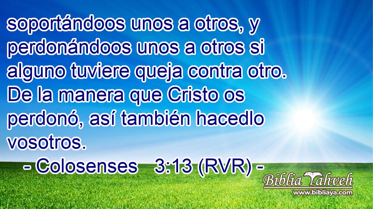 soportándoos unos a otros, y perdonándoos unos a otros si alguno tuviere queja contra otro. De la manera que Cristo os perdonó, así también hacedlo vosotros.