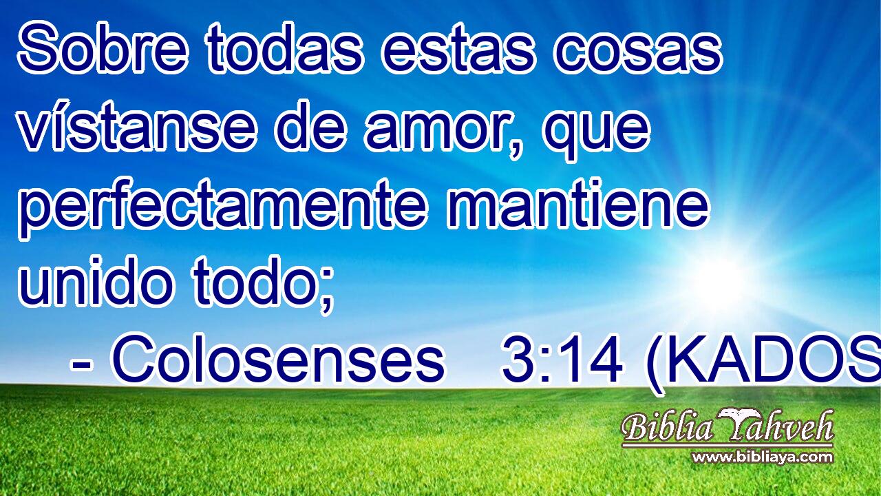  Sobre todas estas cosas vístanse de amor, que perfectamente mantiene unido todo; 