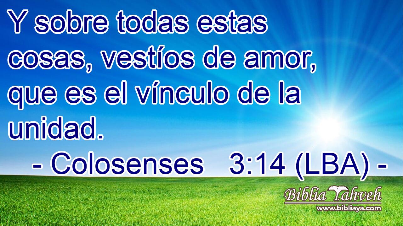 Y sobre todas estas cosas, vestíos de amor, que es el vínculo de la unidad.