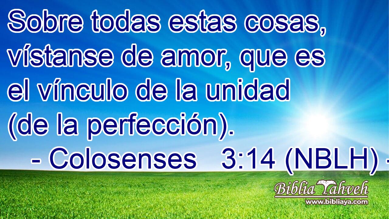  Sobre todas estas cosas, vístanse de amor, que es el vínculo de la unidad (de la perfección). 