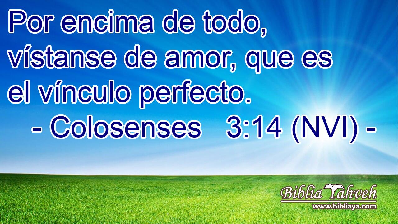  Por encima de todo, vístanse de amor, que es el vínculo perfecto. 