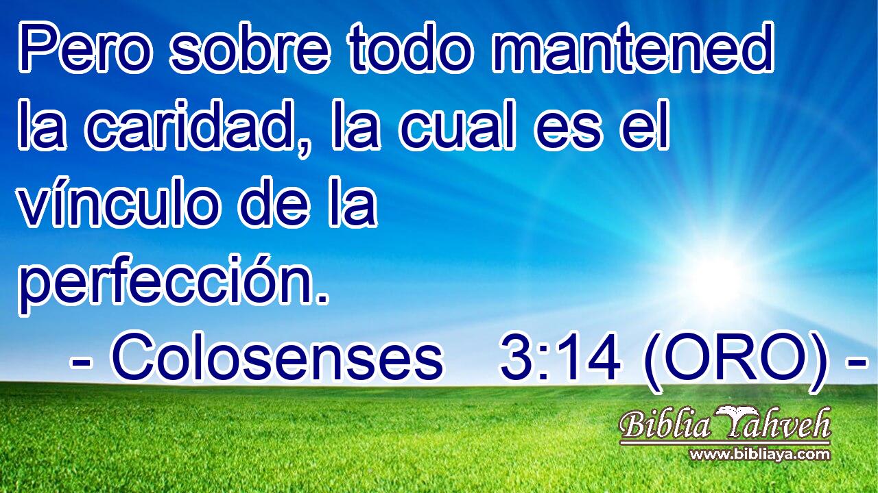  Pero sobre todo mantened la caridad, la cual es el vínculo de la perfección. 