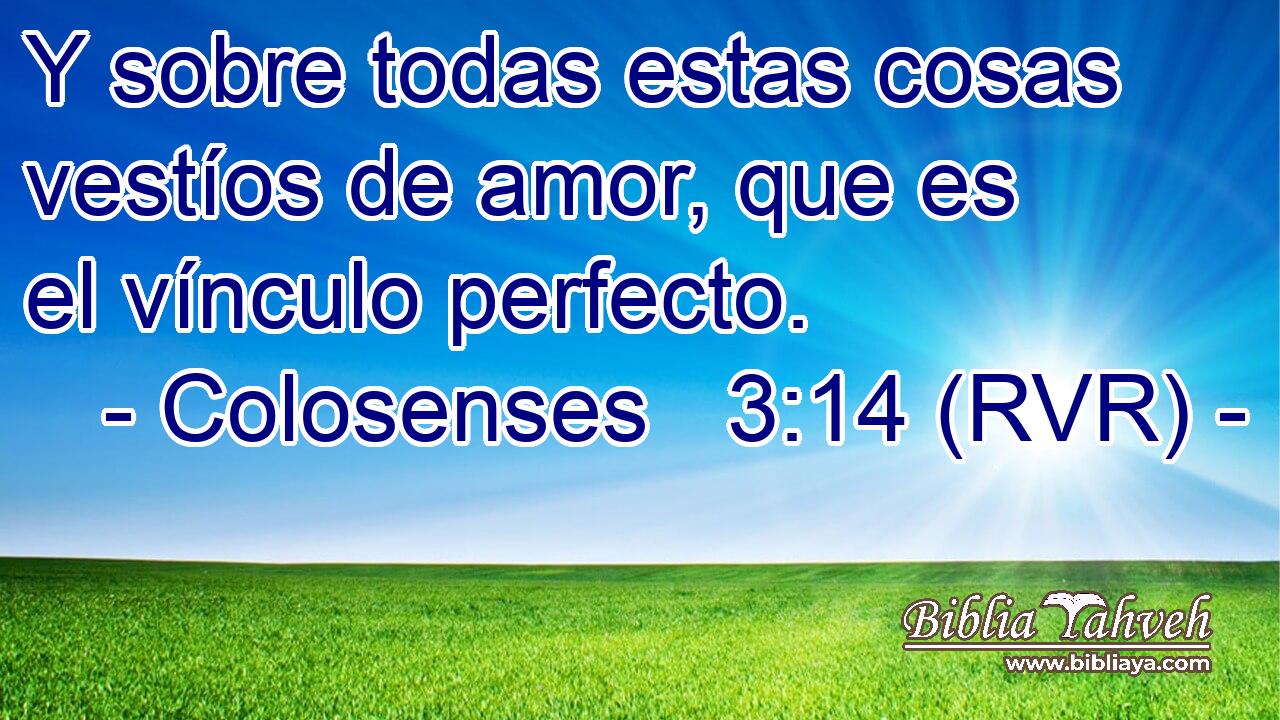 Y sobre todas estas cosas vestíos de amor, que es el vínculo perfecto.