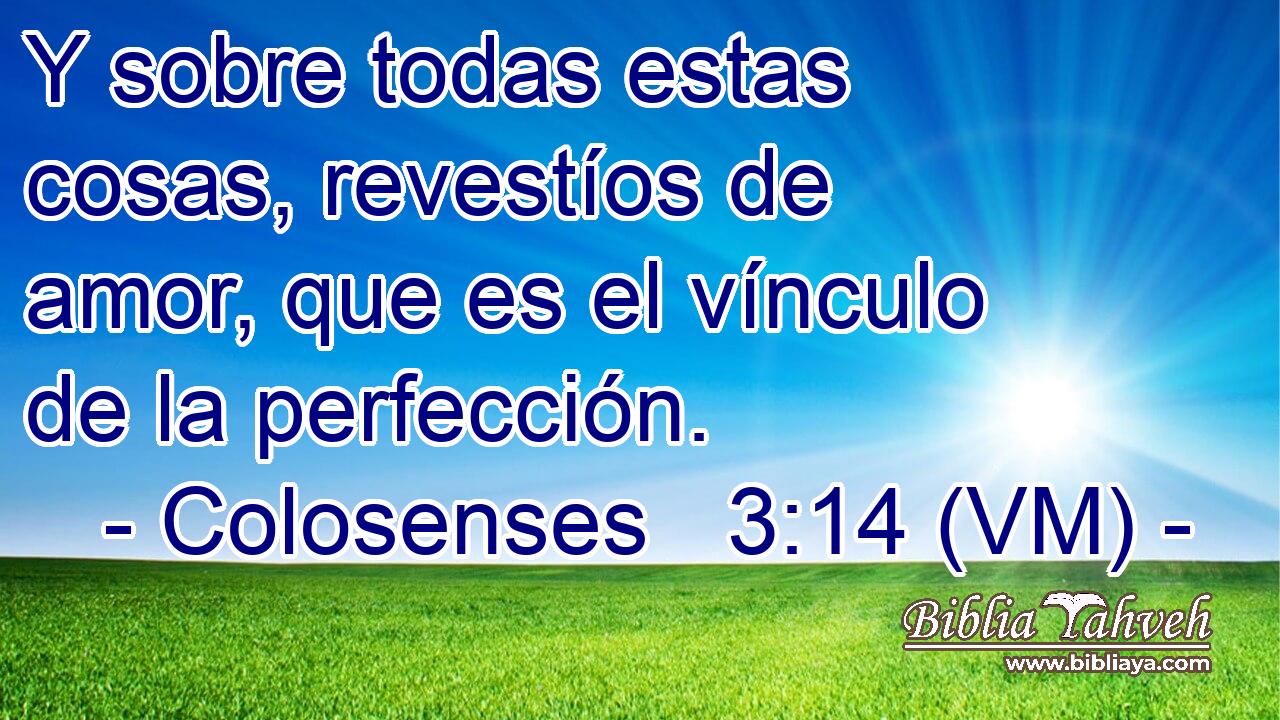  Y sobre todas estas cosas, revestíos de amor, que es el vínculo de la perfección. 
