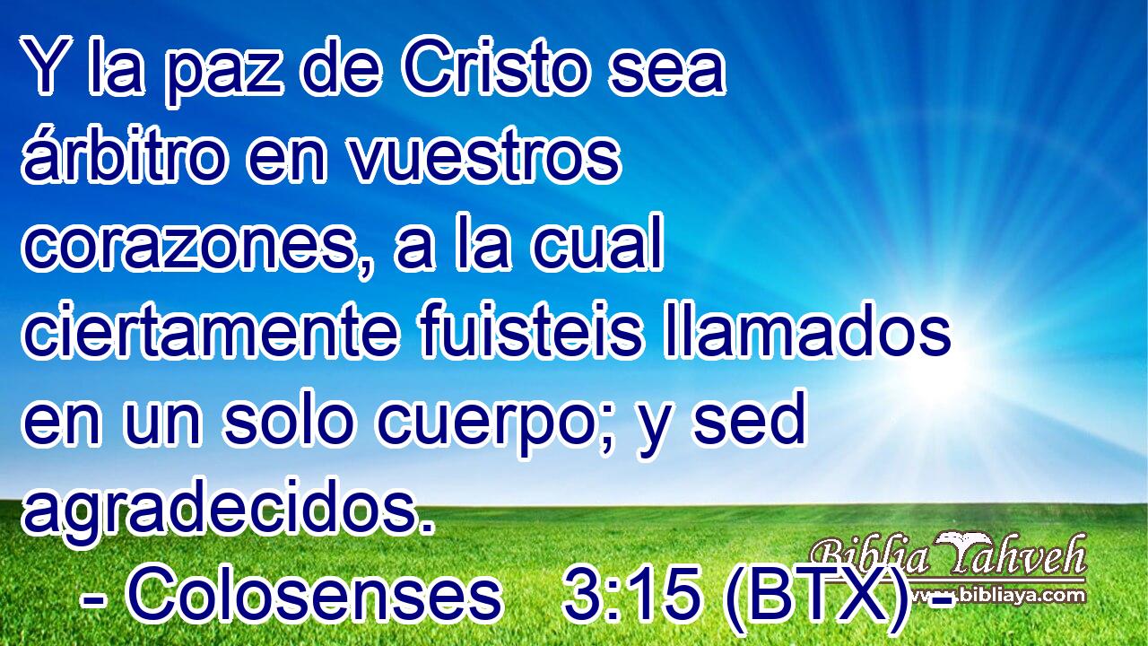 Y la paz de Cristo sea árbitro en vuestros corazones, a la cual ciertamente fuisteis llamados en un solo cuerpo; y sed agradecidos.
