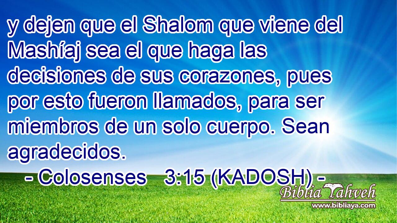  y dejen que el Shalom que viene del Mashíaj sea el que haga las decisiones de sus corazones, pues por esto fueron llamados, para ser miembros de un solo cuerpo. Sean agradecidos. 