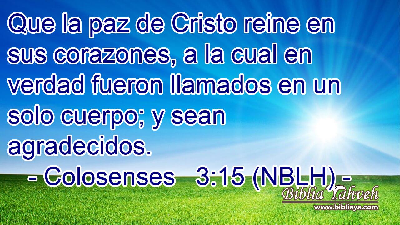  Que la paz de Cristo reine en sus corazones, a la cual en verdad fueron llamados en un solo cuerpo; y sean agradecidos. 