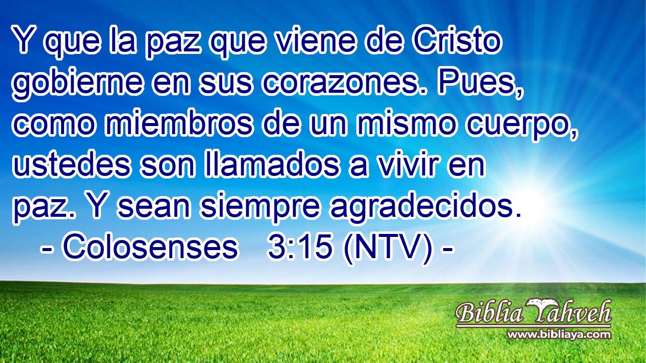 Y que la paz que viene de Cristo gobierne en sus corazones. Pues, como miembros de un mismo cuerpo, ustedes son llamados a vivir en paz. Y sean siempre agradecidos.