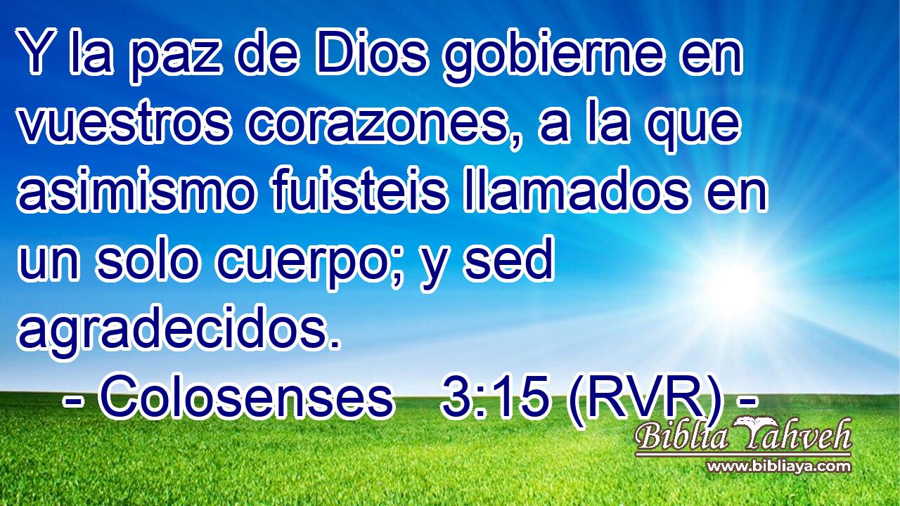Y la paz de Dios gobierne en vuestros corazones, a la que asimismo fuisteis llamados en un solo cuerpo; y sed agradecidos.