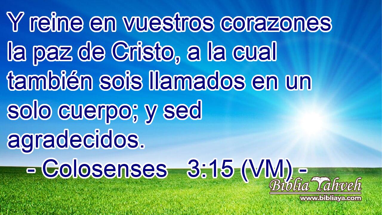  Y reine en vuestros corazones la paz de Cristo, a la cual también sois llamados en un solo cuerpo; y sed agradecidos. 