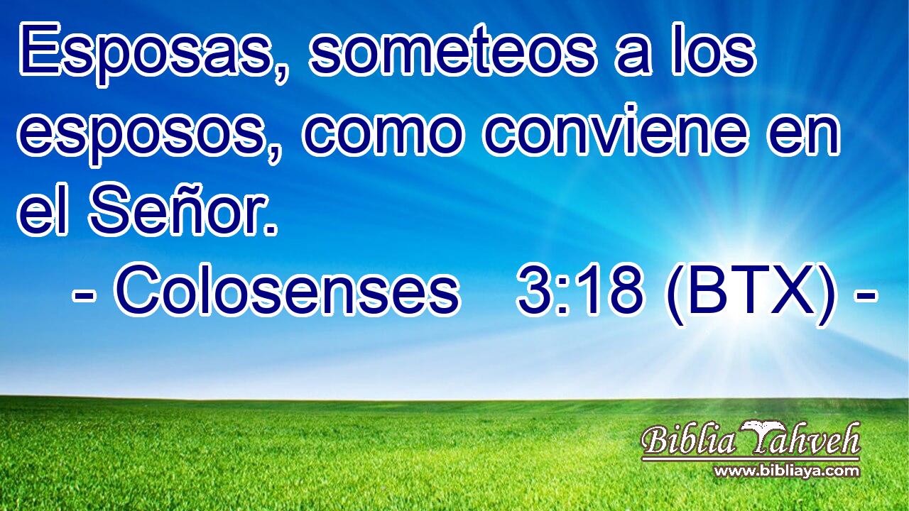 Esposas, someteos a los esposos, como conviene en el Señor.