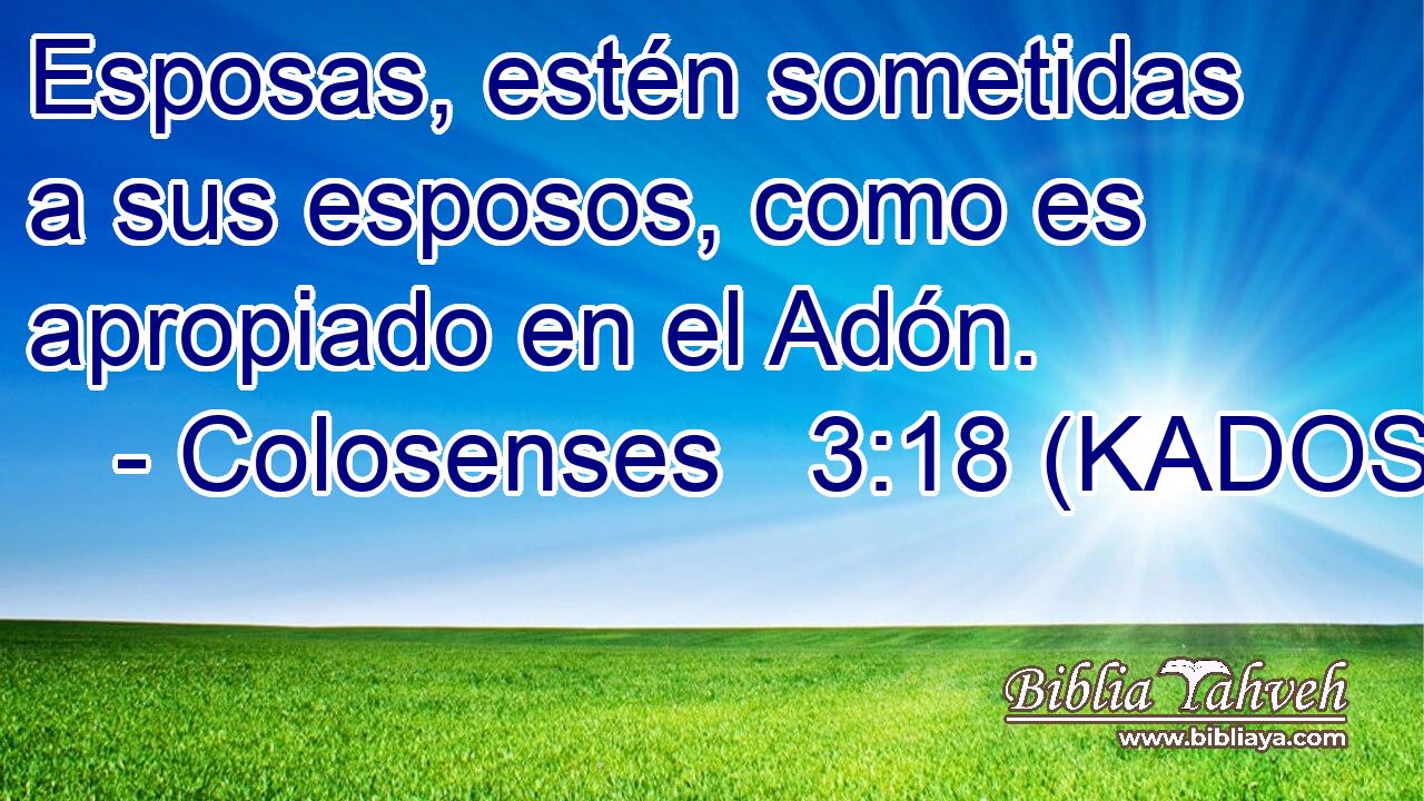  Esposas, estén sometidas a sus esposos, como es apropiado en el Adón. 