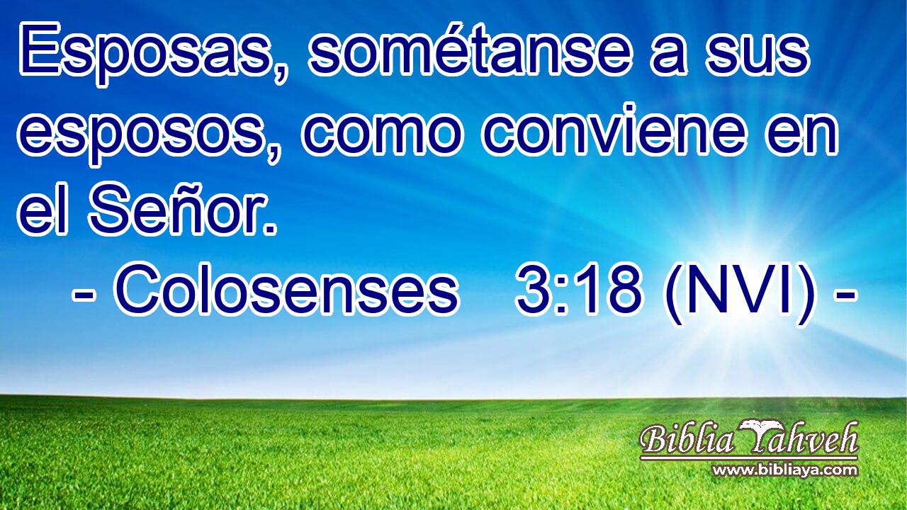  Esposas, sométanse a sus esposos, como conviene en el Señor. 