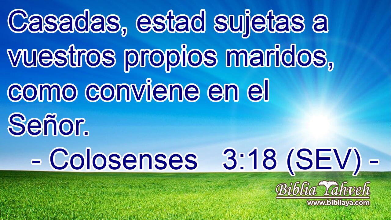 Casadas, estad sujetas a vuestros propios maridos, como conviene en el Señor.