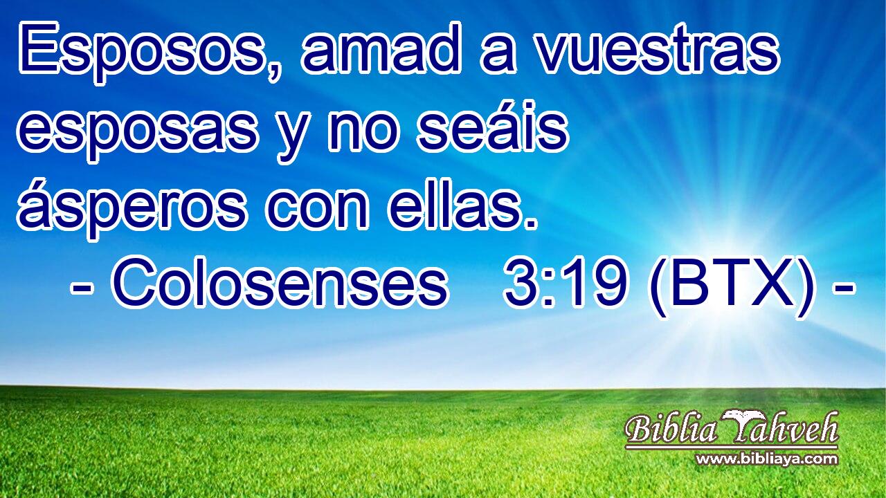Esposos, amad a vuestras esposas y no seáis ásperos con ellas.