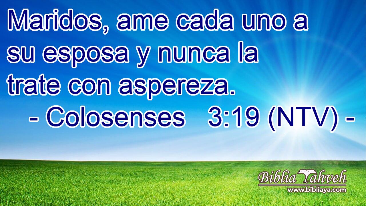 Maridos, ame cada uno a su esposa y nunca la trate con aspereza.