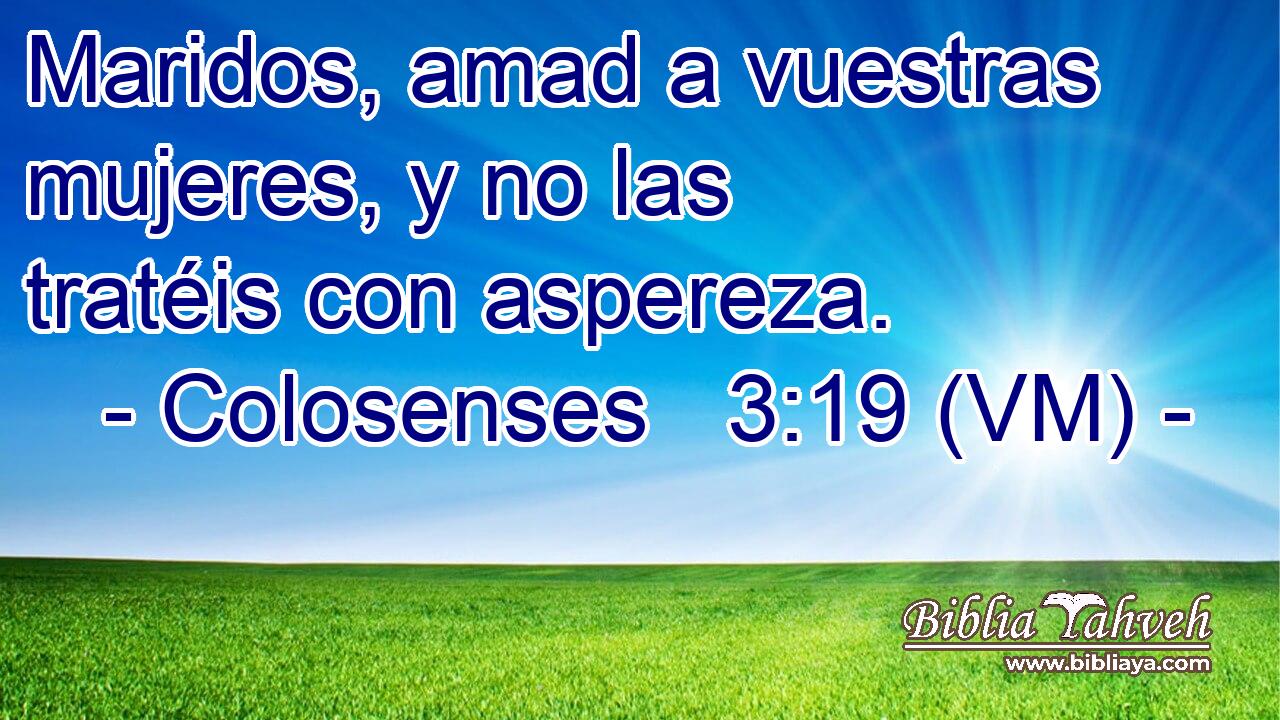  Maridos, amad a vuestras mujeres, y no las tratéis con aspereza. 