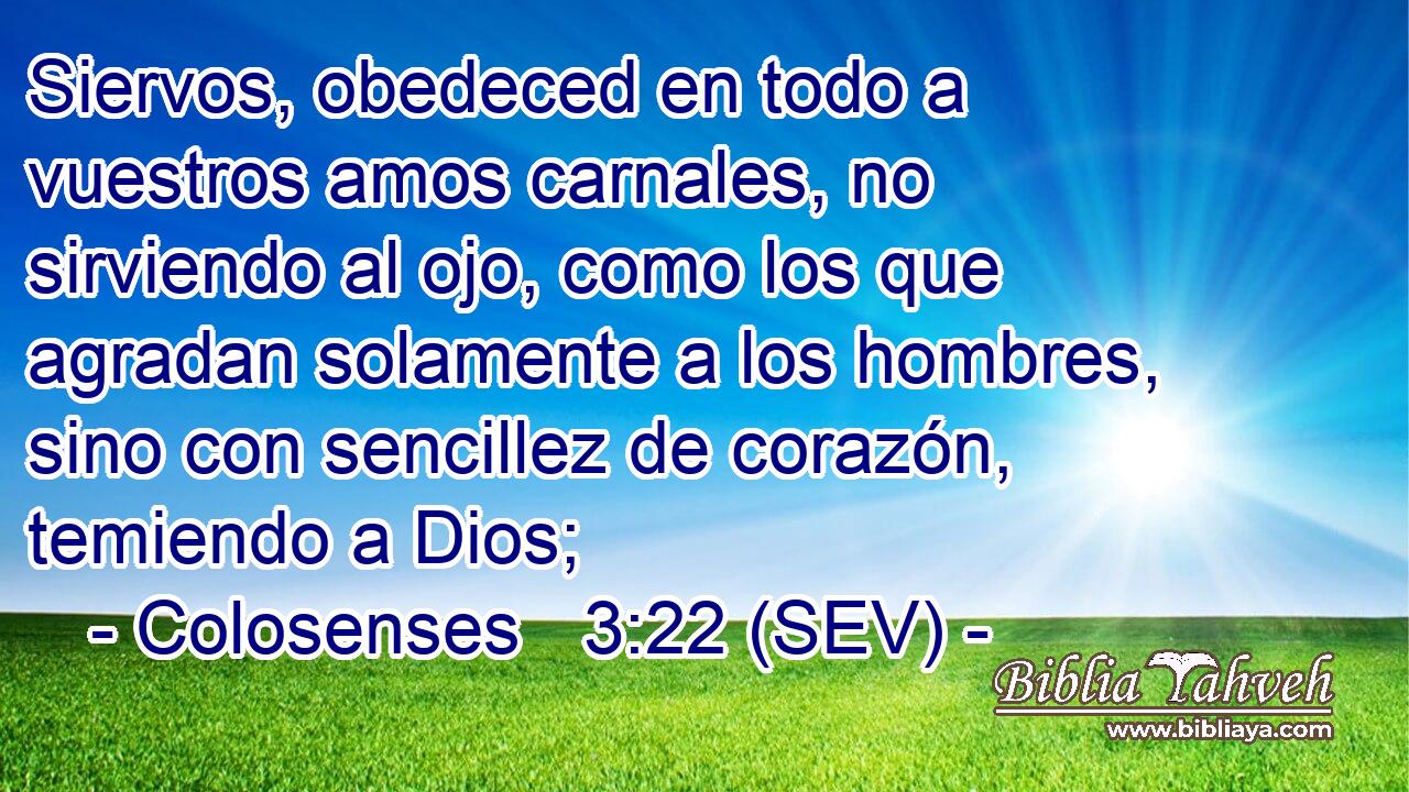 Siervos, obedeced en todo a vuestros amos carnales, no sirviendo al ojo, como los que agradan solamente a los hombres, sino con sencillez de corazón, temiendo a Dios;