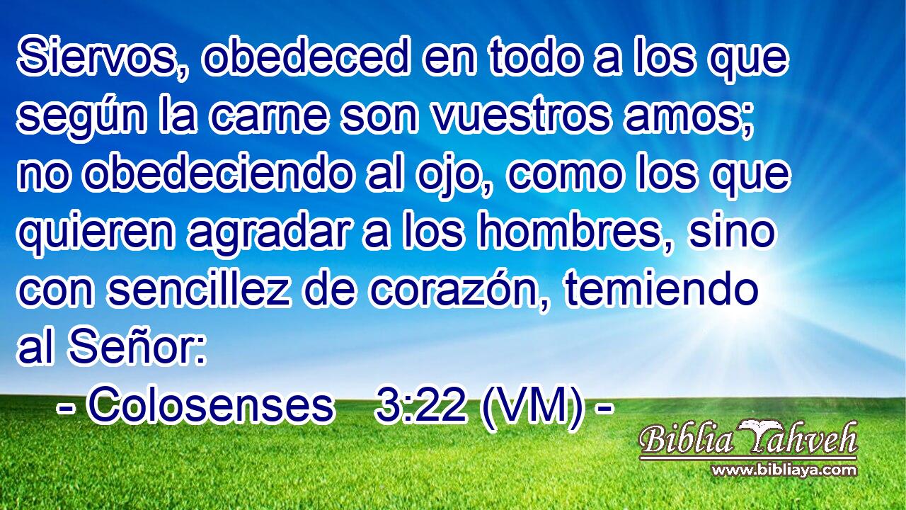  Siervos, obedeced en todo a los que según la carne son vuestros amos; no obedeciendo al ojo, como los que quieren agradar a los hombres, sino con sencillez de corazón, temiendo al Señor: 