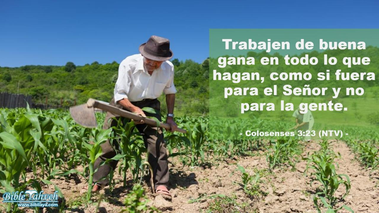 Trabajen de buena gana en todo lo que hagan, como si fuera para el Señor y no para la gente.