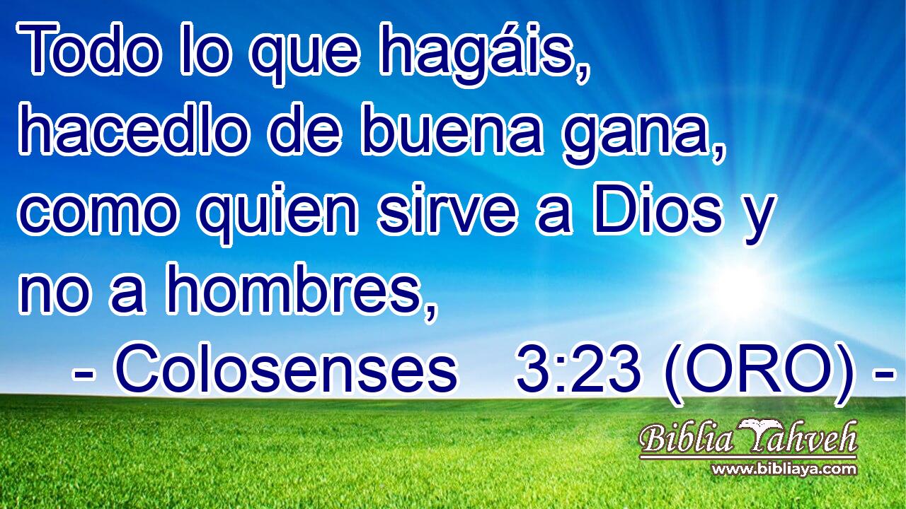  Todo lo que hagáis, hacedlo de buena gana, como quien sirve a Dios y no a hombres, 