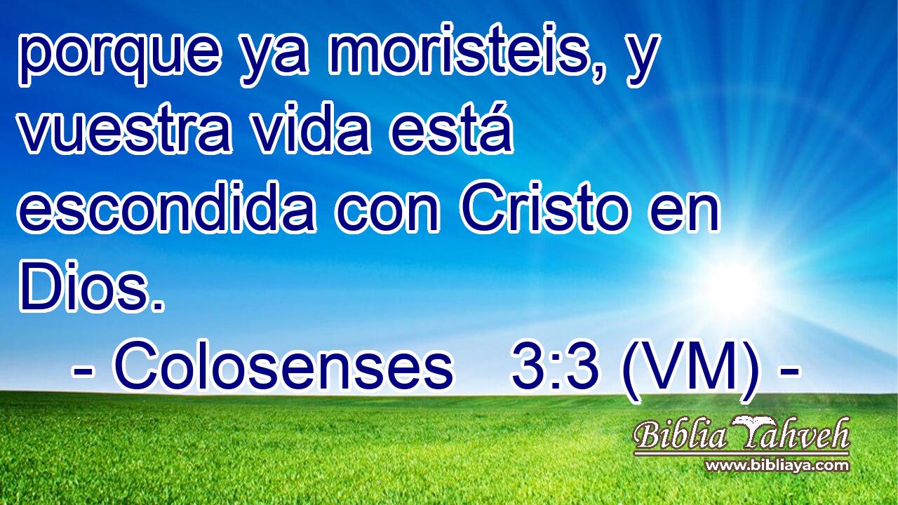  porque ya moristeis, y vuestra vida está escondida con Cristo en Dios. 
