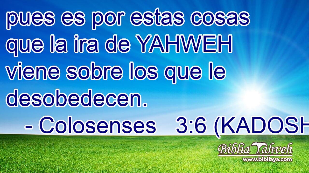  pues es por estas cosas que la ira de YAHWEH viene sobre los que le desobedecen. 
