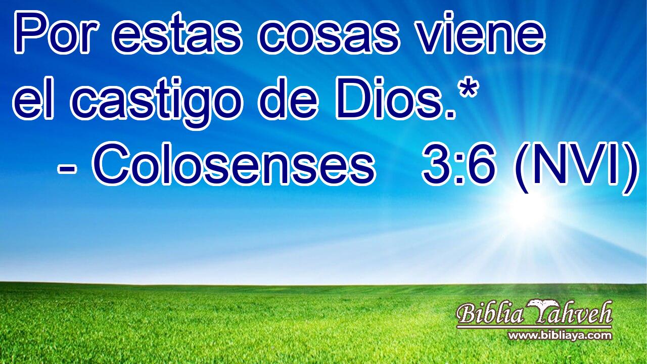  Por estas cosas viene el castigo de Dios.* 