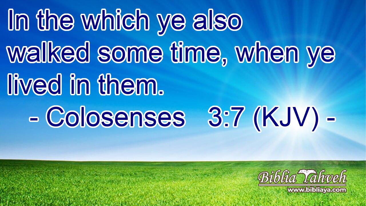 In the which ye also walked some time, when ye lived in them.