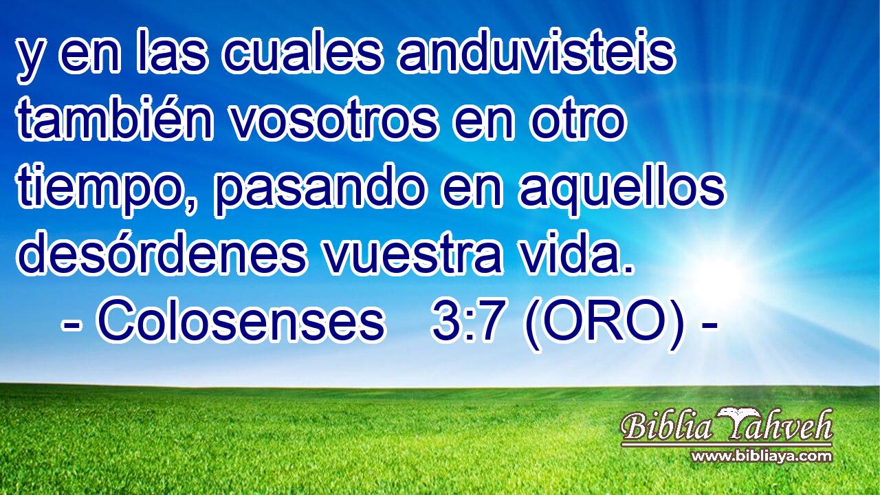  y en las cuales anduvisteis también vosotros en otro tiempo, pasando en aquellos desórdenes vuestra vida. 