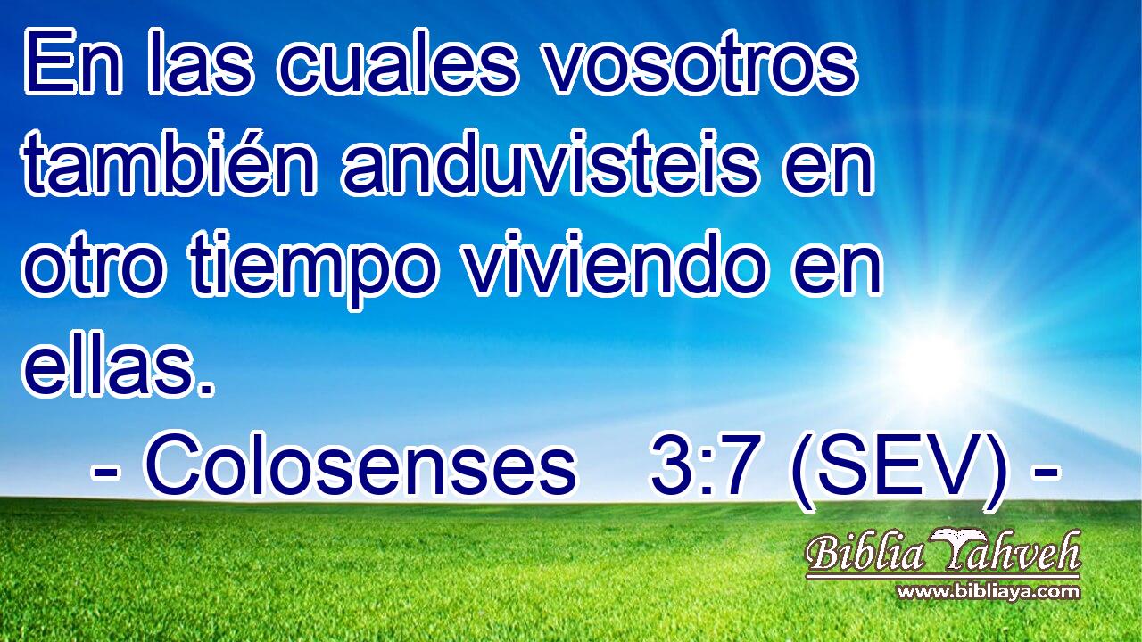 En las cuales vosotros también anduvisteis en otro tiempo viviendo en ellas.