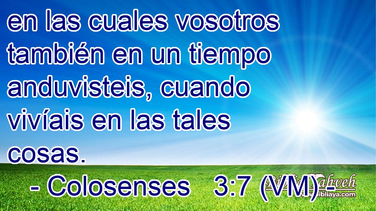  en las cuales vosotros también en un tiempo anduvisteis, cuando vivíais en las tales cosas. 