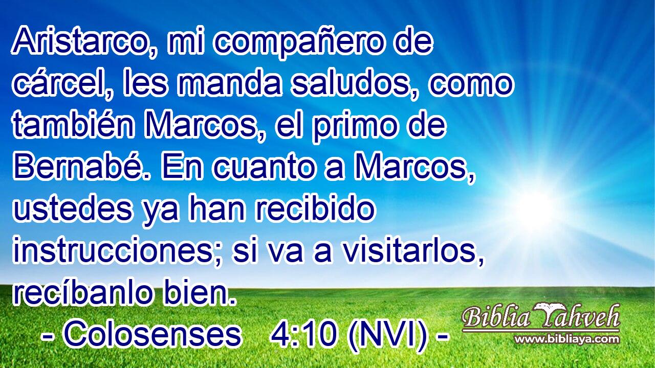  Aristarco, mi compañero de cárcel, les manda saludos, como también Marcos, el primo de Bernabé. En cuanto a Marcos, ustedes ya han recibido instrucciones; si va a visitarlos, recíbanlo bien. 