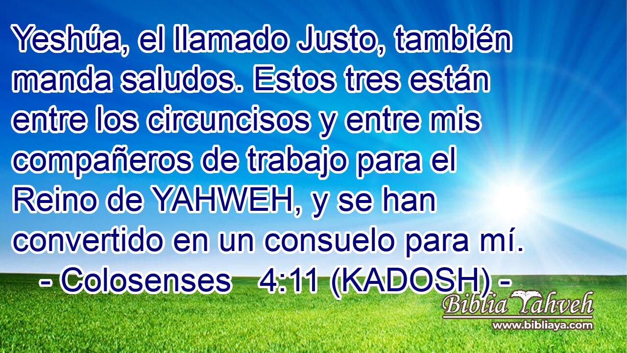  Yeshúa, el llamado Justo, también manda saludos. Estos tres están entre los circuncisos y entre mis compañeros de trabajo para el Reino de YAHWEH, y se han convertido en un consuelo para mí. 